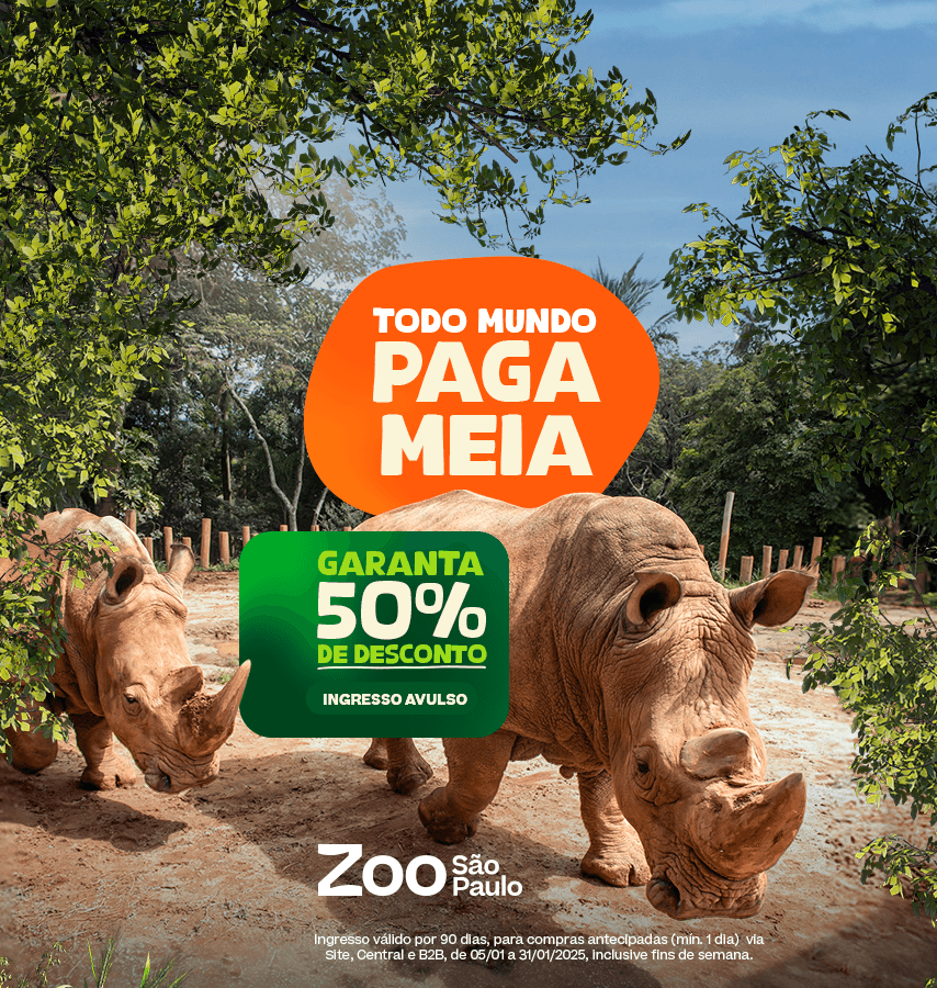 Todo Mundo Paga Meia Promotion